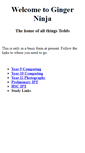 Mobile Screenshot of gingerninja.info